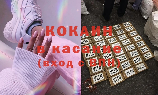 спиды Болотное