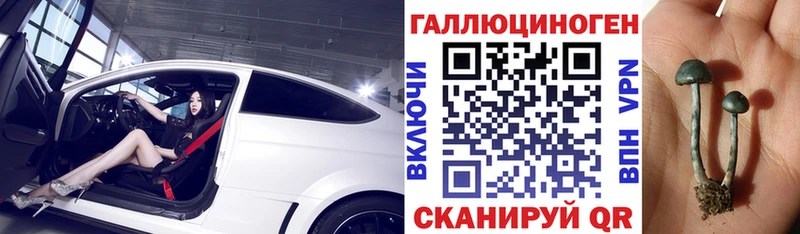 Галлюциногенные грибы Cubensis  купить  цена  Лермонтов 